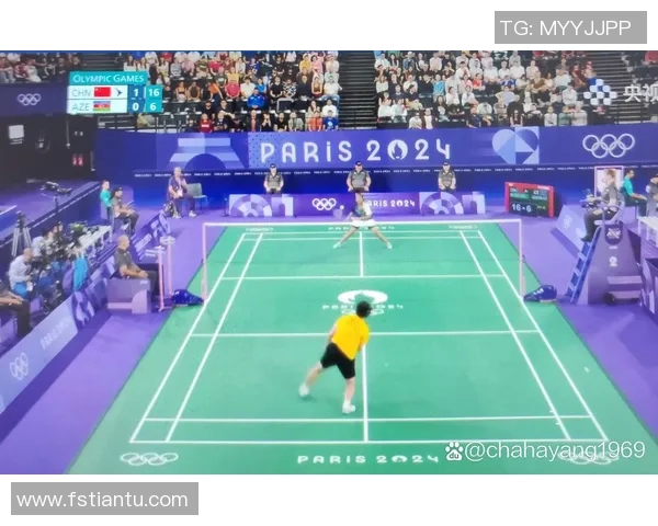 羽毛球灵活性榜单揭晓杭州羽毛球队荣获第七名佳绩