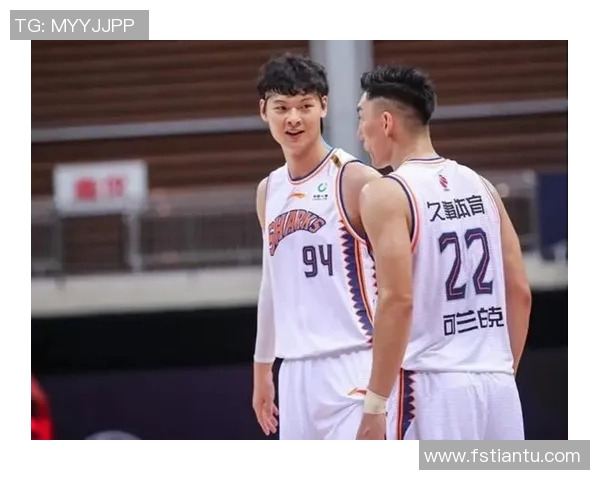 深圳篮球队球员个人能力分析与表现评估研究