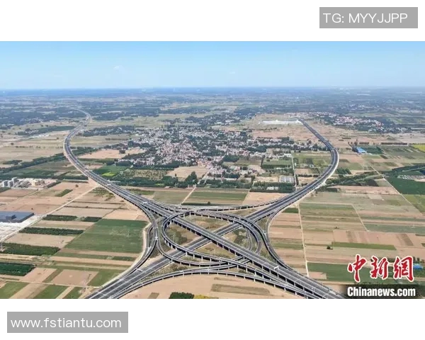 石塑粘土足球明星的崛起与未来发展趋势探讨